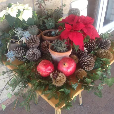 Le Rocce Bed and Breakfast SantʼAgata deʼ Goti