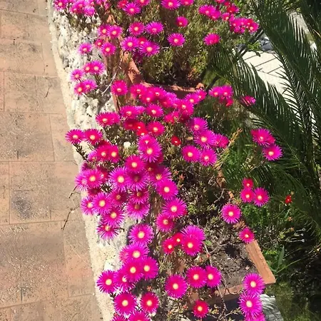 Le Rocce SantʼAgata deʼ Goti