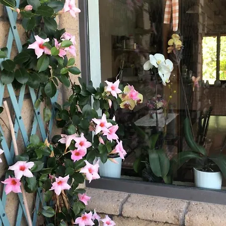 Le Rocce Bed and Breakfast