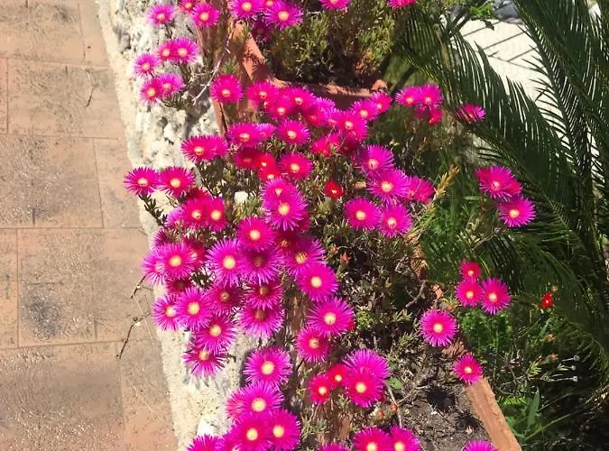 Le Rocce SantʼAgata deʼ Goti