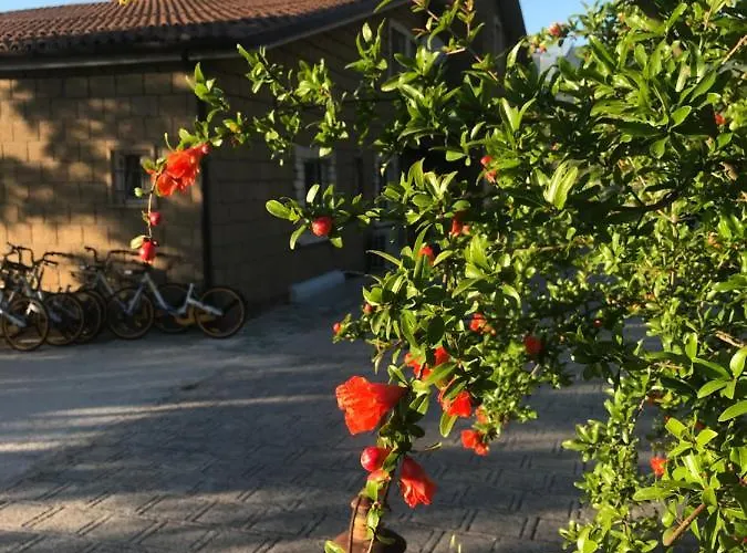 Le Rocce SantʼAgata deʼ Goti